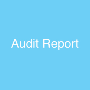 audit-button-over.jpg